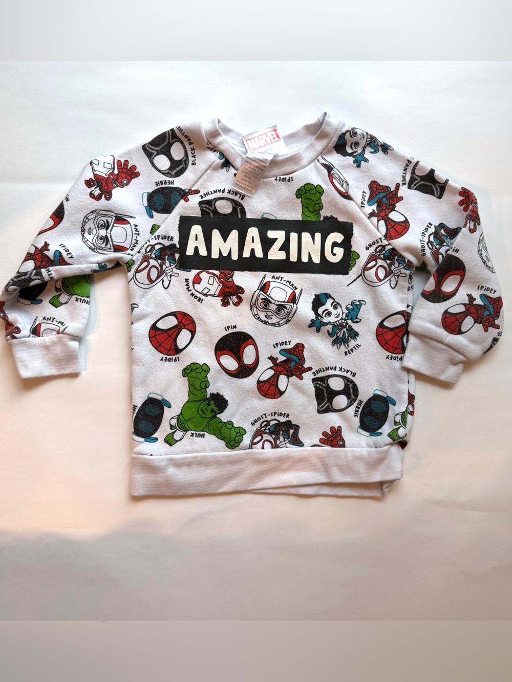 Marvel Spidey and friends "Amazing" Graphic Sweatshirt